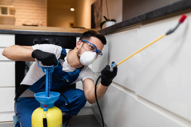 Best Pest Control for Businesses  in Rio Pinar, FL