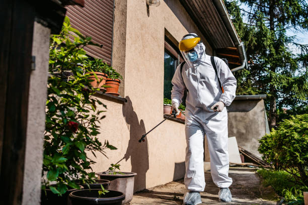 Best Pest Control Near Me  in Rio Pinar, FL