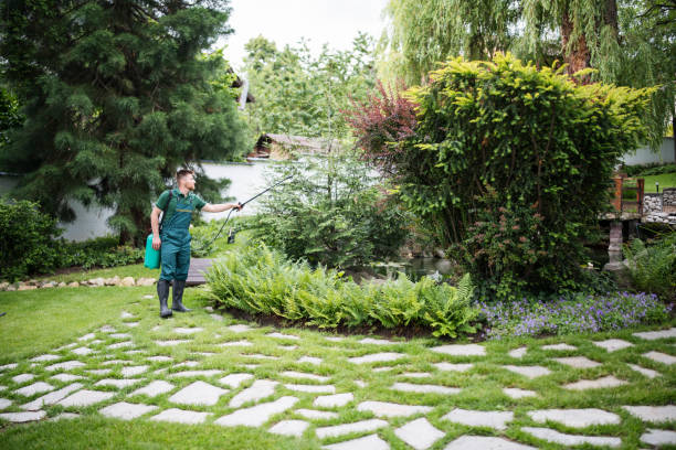 Best Residential Pest Control  in Rio Pinar, FL