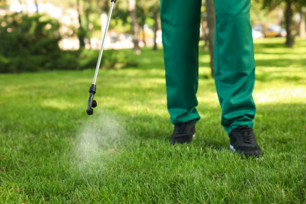Best Pest Inspection Near Me  in Rio Pinar, FL