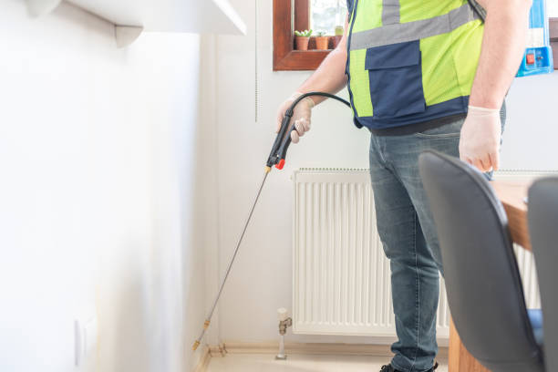 Reliable Rio Pinar, FL Pest Control Solutions