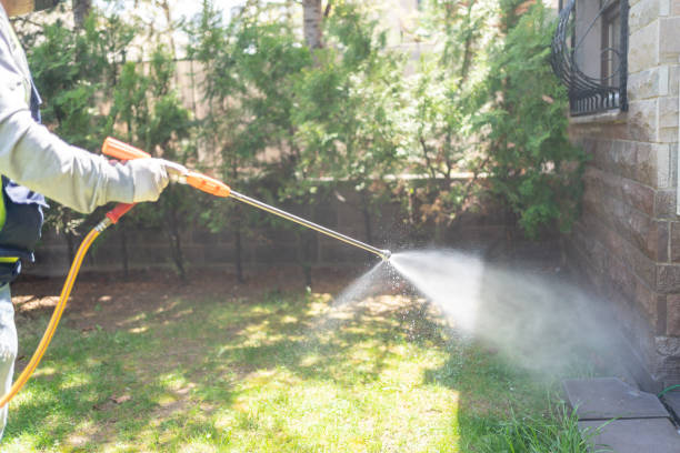 Best Local Pest Control Services  in Rio Pinar, FL