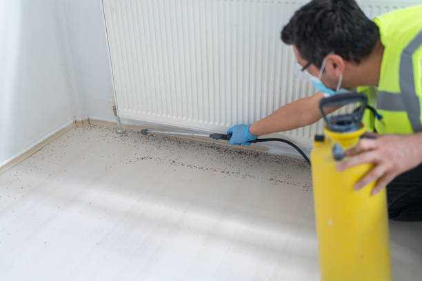 Best Best Pest Control Companies  in Rio Pinar, FL