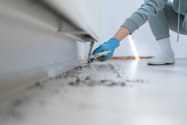 Pest Control Cost in Rio Pinar, FL