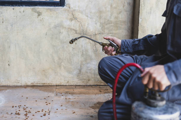 Best Residential Pest Control  in Rio Pinar, FL