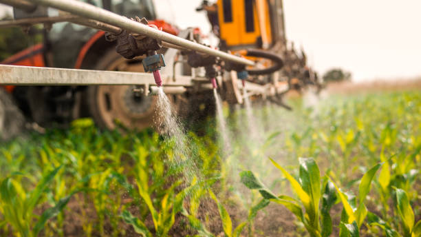 Best Commercial Pest Control Services  in Rio Pinar, FL